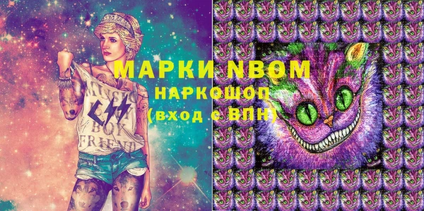 гидра Алексин