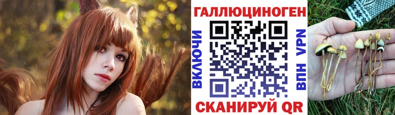 KRAKEN tor  Монино  Галлюциногенные грибы ЛСД 